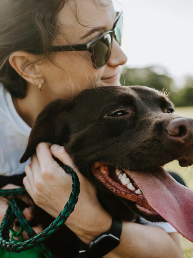 dog hates vet, dog scared of vet, dog nervous at vet, vet anxiety dogs, grooming anxious dogs, calming dogs vet