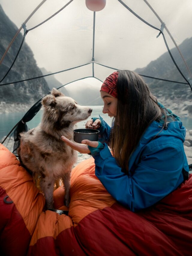 camping with dogs, dog camping tips, camping dog tips, camping with pets, dog camping supplies