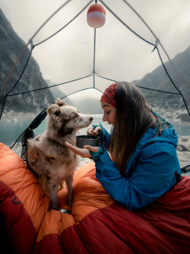 camping with dogs in tent, camping with dogs in rv, camping with dogs checklist, camping with small dogs, camping with senior dogs, camping with dogs tips, camping with multiple dogs