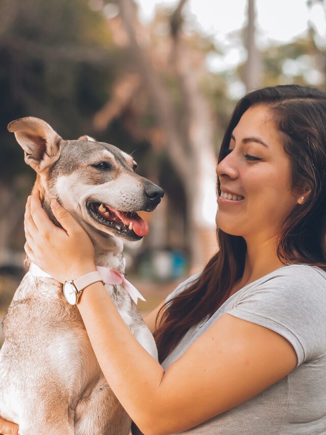 how much pay dog walker, how much pay dog sitter, average dog walker rates, average dog sitter rates, dog boarding costs, doggy daycare costs