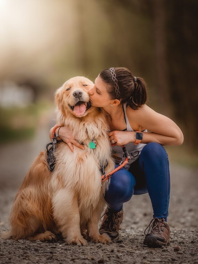 good dog owner, dog owner signs, quality dog owner, happy dog, healthy dog,