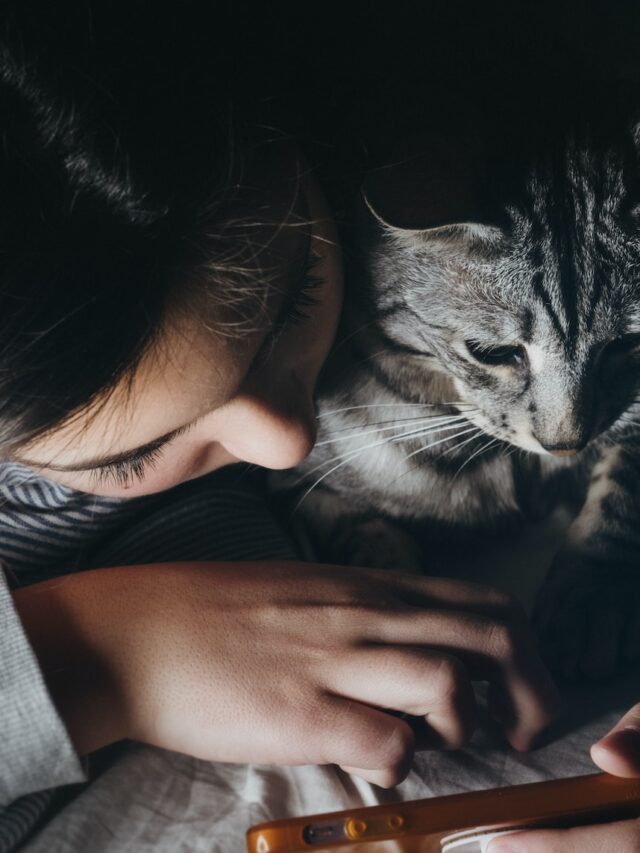 cat favorite person, cat playing favorites, signs cat favorite person, cat seeks my attention, cat follows me, cat responds to me, cat sits on my lap, cat rubs my leg, cat always near me