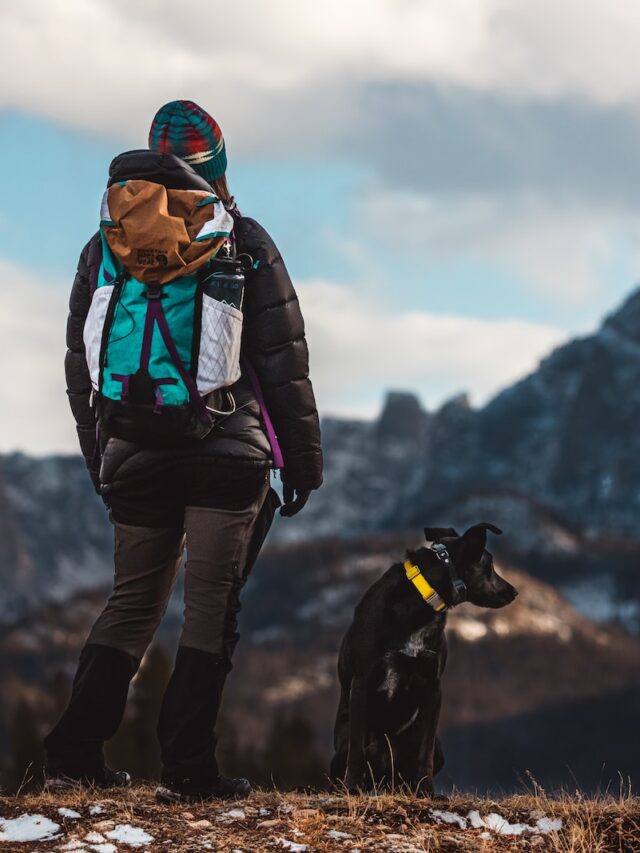 hike with dog, hiking with dogs, hiking dog tips, trekking with dog, outdoor adventures dogs